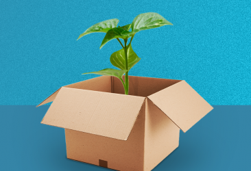 Tecnologia de ponta aliada ao meio ambiente